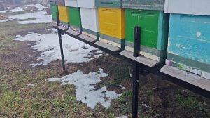 Все косяки МОДУЛЯ для кочёвки.