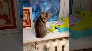 концовка с гугугага