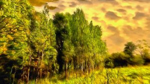 Приятные воспоминания