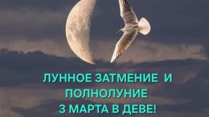 ЛУННОЕ ЗАТМЕНИЕ И ПОЛНОЛУНИЕ 3 МАРТА 2026 ГОДА В ДЕВЕ! ТАРО-ПРОГНОЗ ДЛЯ ВСЕХ ЗНАКОВ ЗОДИАКА! ✨️