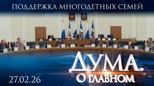 Поддержка многодетных семей. Дума. О главном
