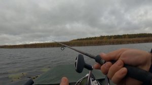 ОХ И РЫБАЛКА - КЛЮЕТ ТО ЩУКА, ТО СЕТКА...