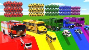 Детеныш акула – Песня про бинго – Фигурки и разноцветные футбольные мячи – Детские песенки для детей