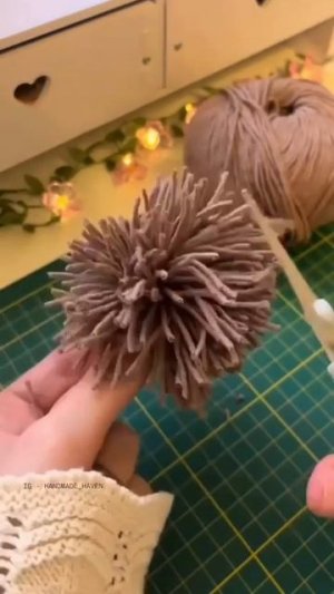 MOV_20260226_161658_708.mp4