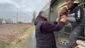 ИЗ ПРИЮТА В НОВУЮ СЕМЬЮ/Злата уехала в Германию