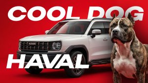 HAVAL COOL DOG | Большой обзор на крутую собаку