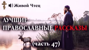 ПРИСТАВЫ ЛОМАЛИ ДВЕРЬ, из-за долгов мужа.... ЛУЧШИЕ ПРАВОСЛАВНЫЕ РАССКАЗЫ часть 47
