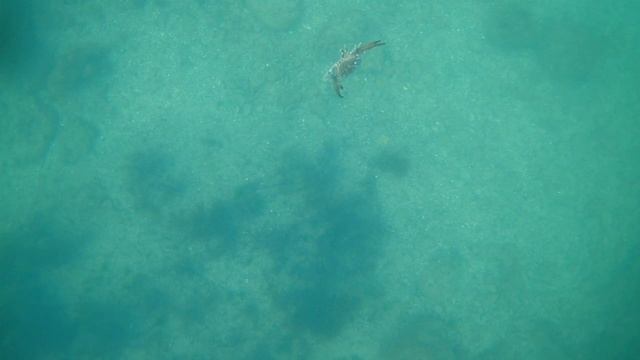 2 января 2019 г