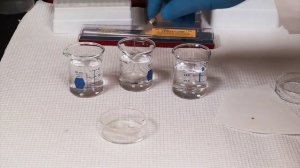 ультрамикротомия, как контрастировать специальной смесью урнлесс  сеточки для электронной микроскопи