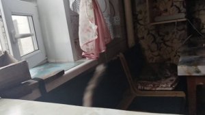 Видео без смысла,ума и фантазии.27.02.26.