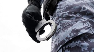 Задержан подозреваемый в похищении девятилетней девочки в Смоленске