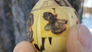 Шкатулка в февральском лесу на сосне