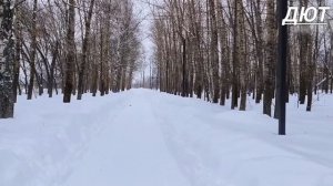 Заглянул в наш старый парк.