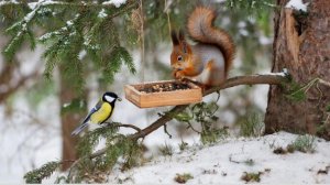 До весны рукой подать