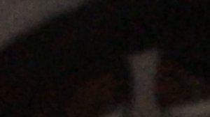 Мопеды сериал | Серия 1781