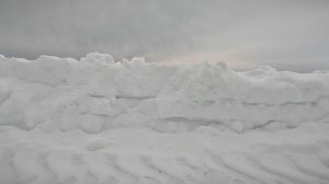 Белое покрывало для пшеницы: итоги зимнего мониторинга полей