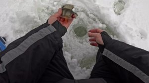 Глухозимье, но клев есть!