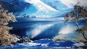 Рыма Чек- сожителя гоняет как Сидорову козу...