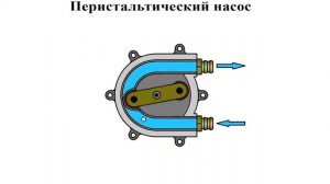 Перистальтический шланговый насос принцип и устройство работы