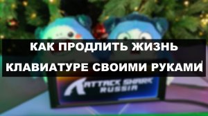 КАК ПРОДЛИТЬ ЖИЗНЬ КЛАВИАТУРЕ: ЧИСТКА, КЕЙКАПЫ, ПРОФИЛАКТИКА