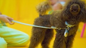 Настя и папа проводят выходной и веселятся вместе