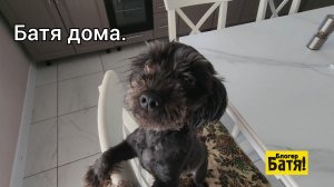 Батя блогер.