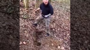 Когда ты выбрал укрытие в лесу, чтобы немного отдохнуть от всего...