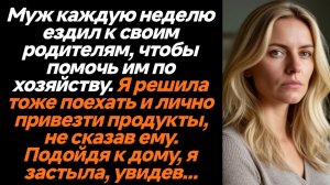 Жизненные Истории/Муж каждую неделю ездил к своим родителям, а приехав к ним, я увидела такое