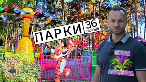 Где погулять в Воронеже? Парк Алые паруса, Парк Орлёнок, Парк Дельфин. Благоустройство парков отдыха