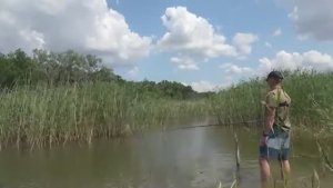 ВОТ ЭТО РАЗМЕР! ТАКОГО ЕЩЕ НЕ ЛОВИЛ! ОБАЛДЕННАЯ РЫБАЛКА НА ПОПЛАВОК! Ловля сазана