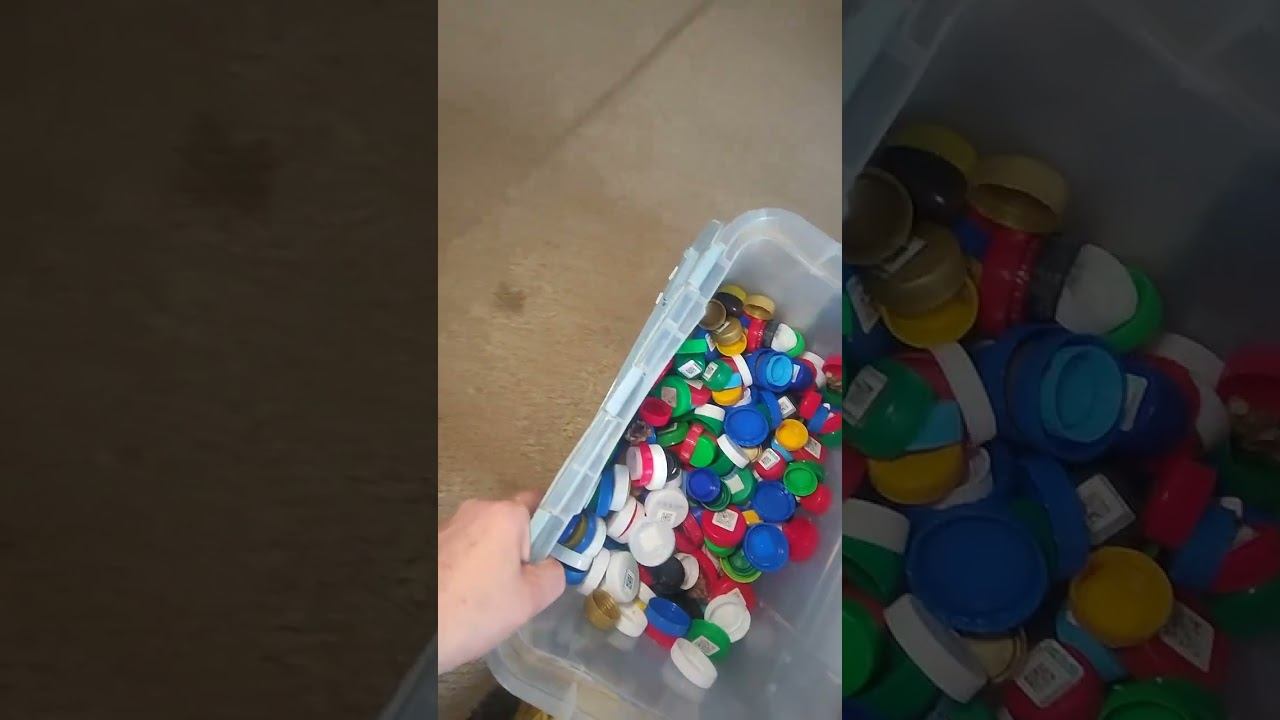 Игра в крышечки с собакой. Правила