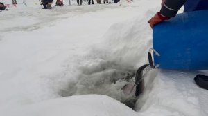 Запуск форели