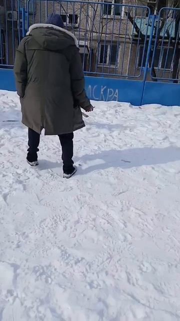 Щенок Берг: 