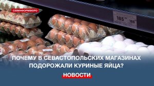Почему в севастопольских магазинах подорожали куриные яйца?
