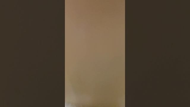 прятки ромы ружынка!