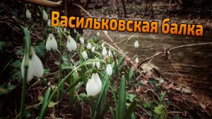 Васильковская балка. Реки, подснежники, пещера.