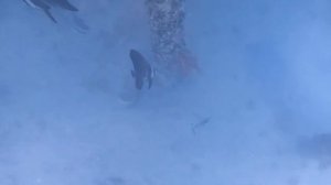 Хургада Красное море. хургада