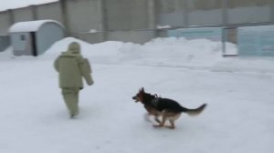 Отдел по конвоированию УФСИН