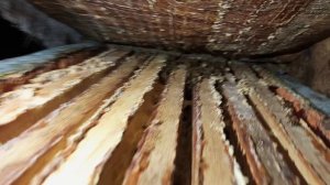 Зимовка в омшанике.mp4