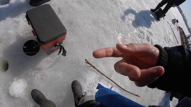 ЛУЧШАЯ РЫБАЛКА СЕЗОНА 5 кг подлещика куча форели и Судак как вишенка на торте