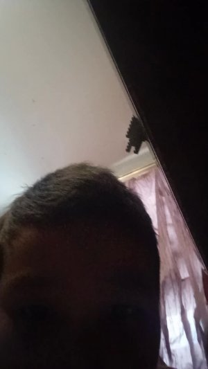 Играю В BlocmanGo в TNT TAG