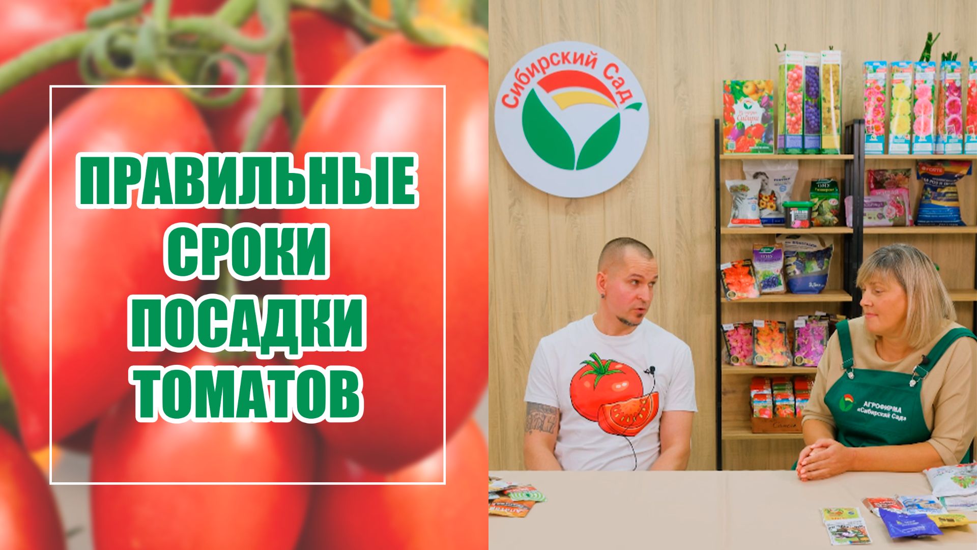 Правильные сроки посадки томатов