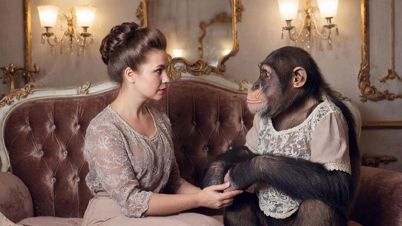 Обезьяна и дама (Андрей Донецкий) смотреть онлайн