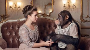 Обезьяна и дама (Андрей Донецкий)