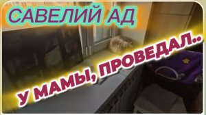 САМВЕЛ АДАМЯН, САВЕЛИЙ АД, У МАМЫ, ПРОВЕДАЛ..