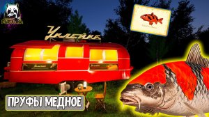 RF4 Пруфы - Медное на 1000 серебра правда или нет на 28.02.2026 #рр4