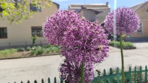 Один из дней города Евпатории | 20 мая 2021 год | Крым | ХАН БАТОН | XAH 6ATOH | VID_20210520_142004