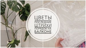 51/26. Навела порядок на своем балконе // Цветы // Последние штрихи // Mariya VD LIFE.