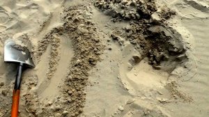 ДВА!Золотых сигнала.ПОДРЯД!