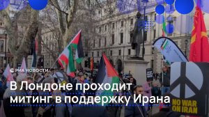Митинг в поддержку Ирана проходит на парламентской площади в центре Лондона